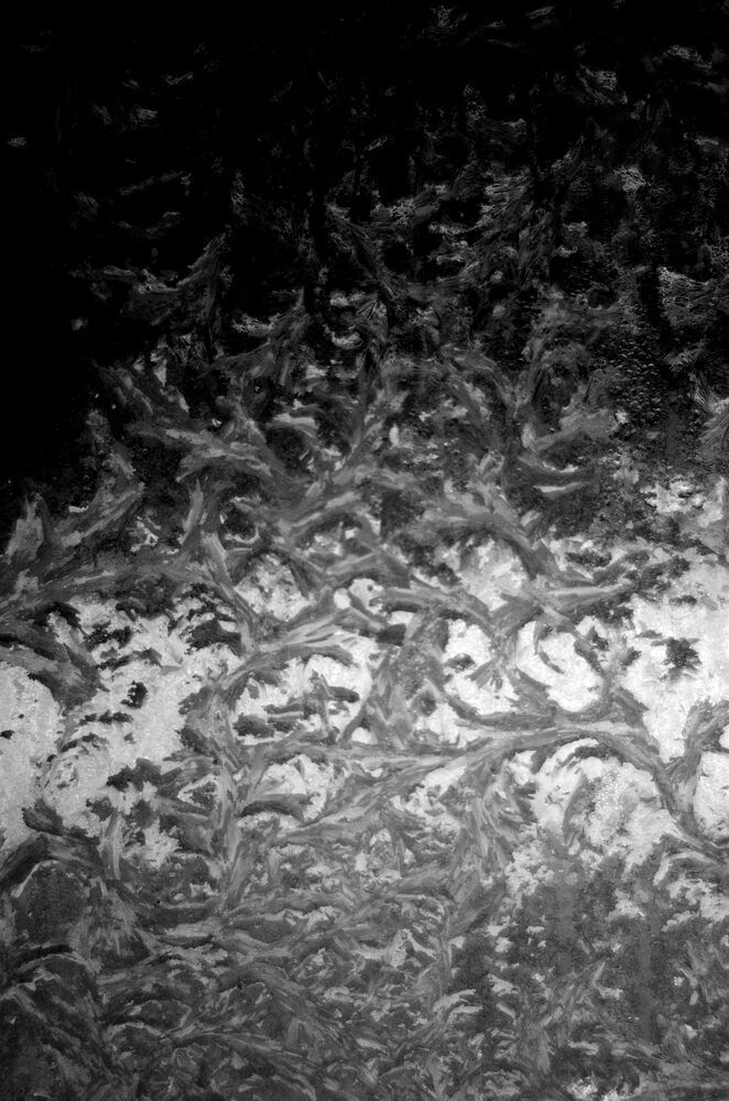 Photograph by Damir Gržin