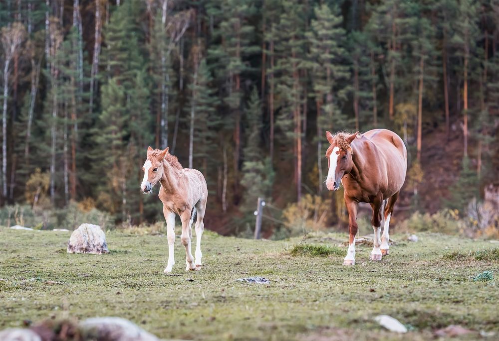 Photograph by Олег Милеев (Каминцев)