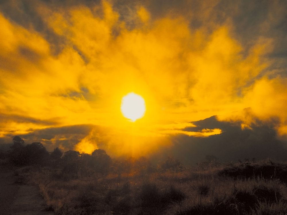 Sun of earth
