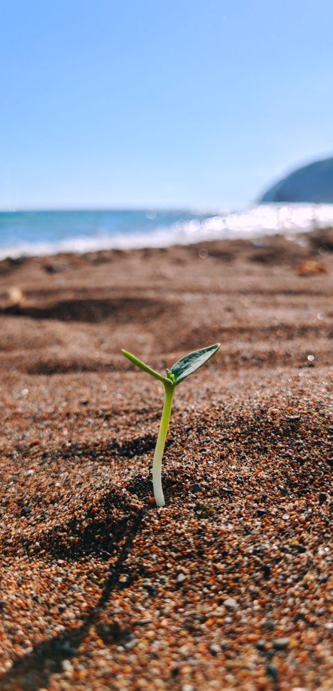 Photograph by ЕЛЕНА Рохо-Фернандес