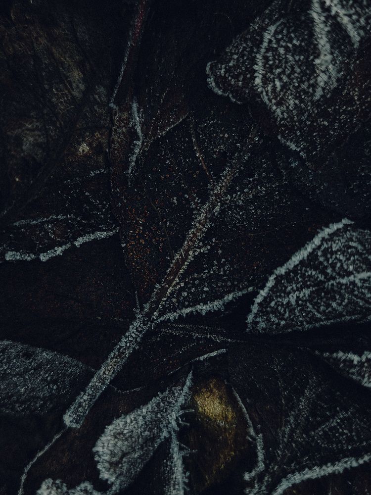 Photograph by Maria Stankevich