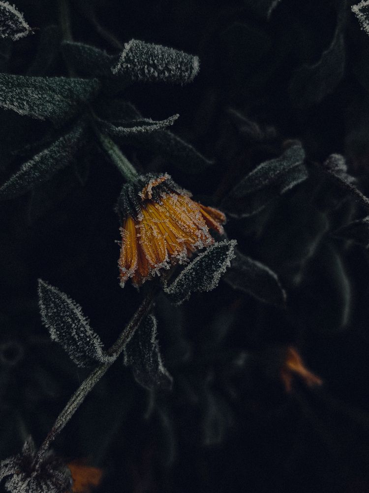 Photograph by Maria Stankevich