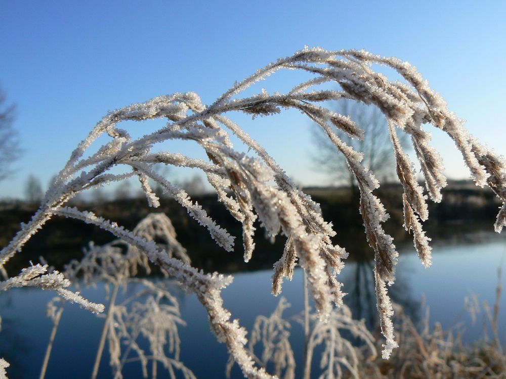 Photograph by Алексей Борисов