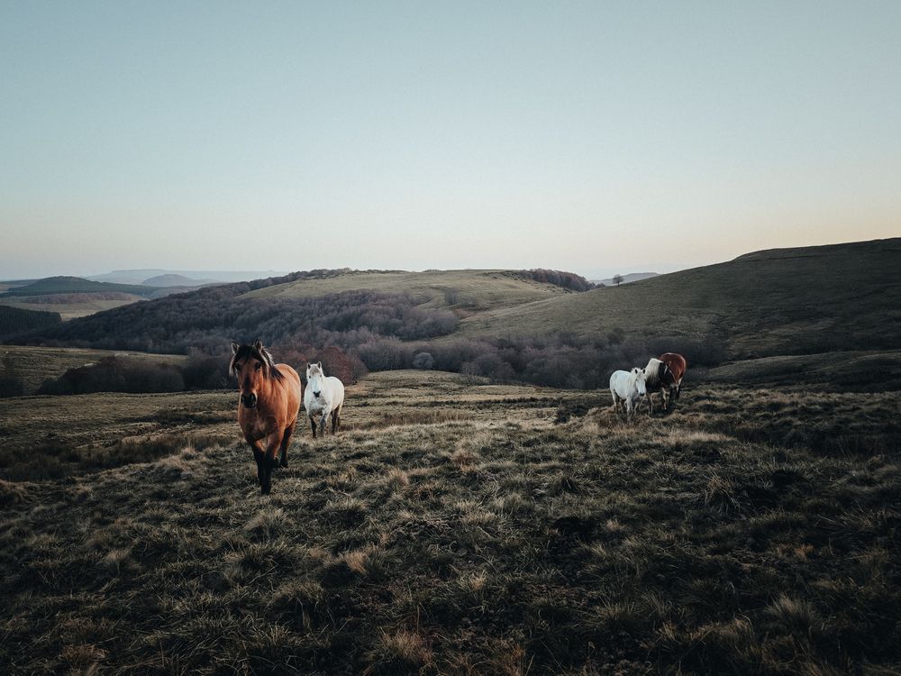 Фотография автора Александра Шилова