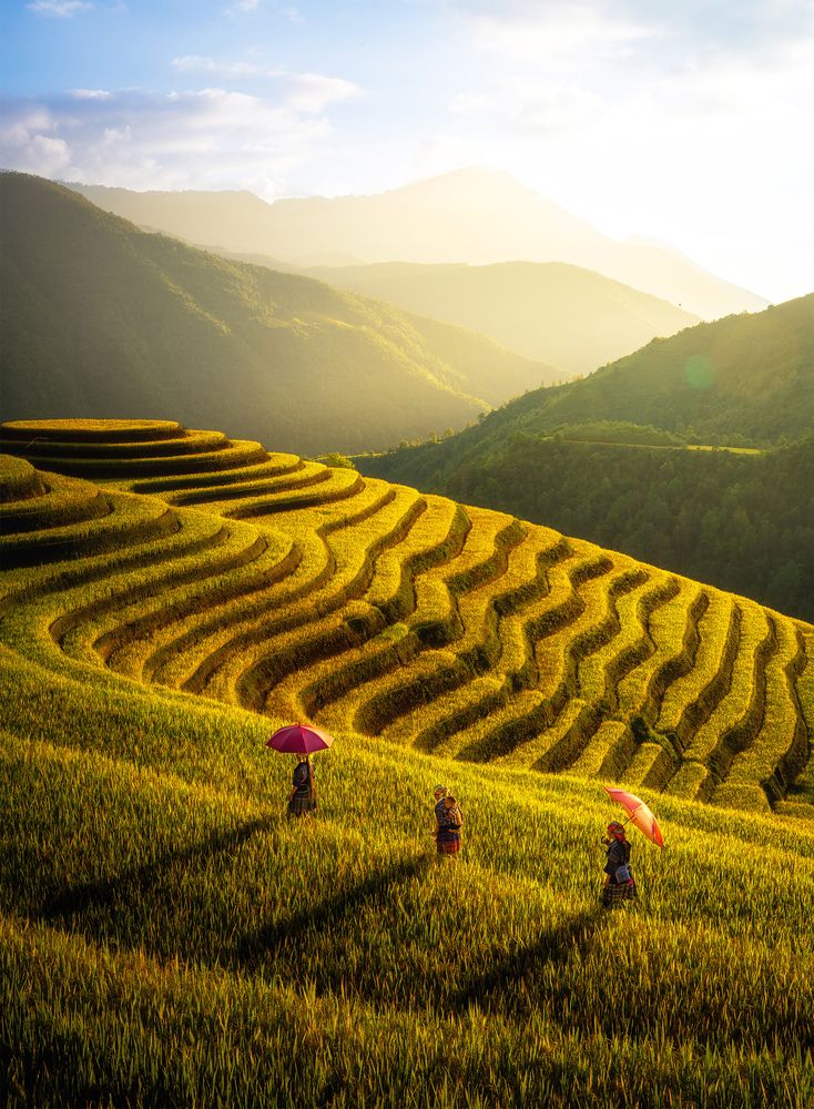 Photograph by Tran Phuong