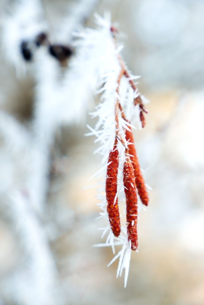 Photograph by Ирада Кузло