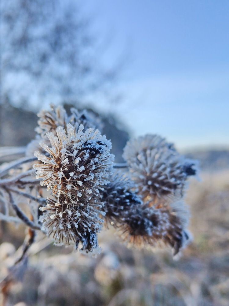 Photograph by Виталий Черепенькин