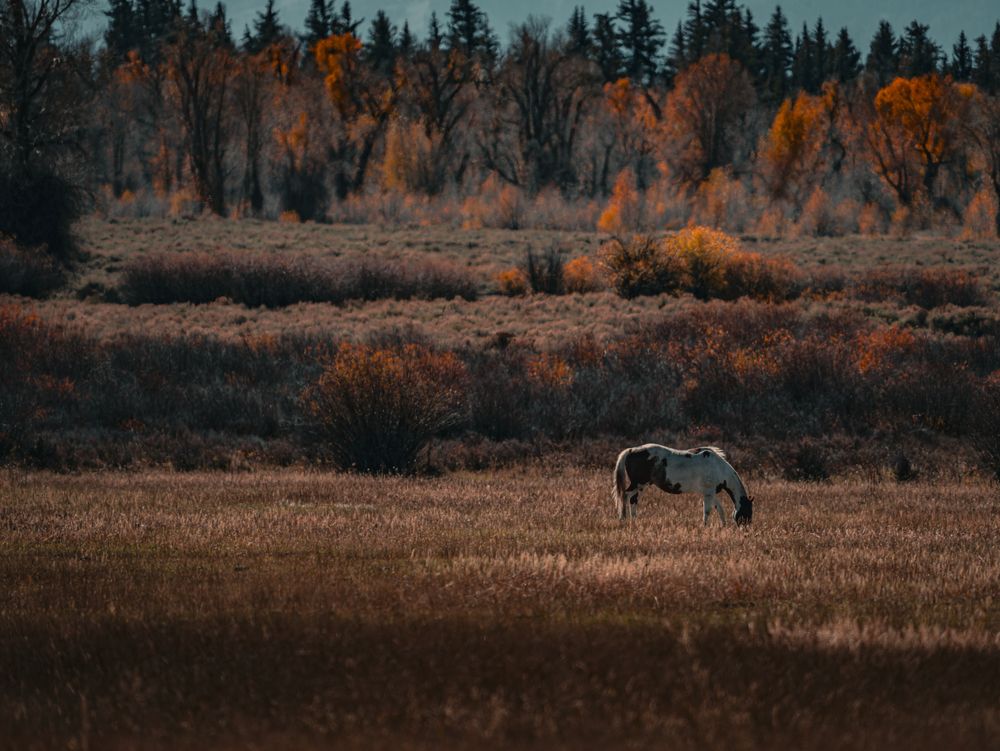 Photograph by Athul Konikkara