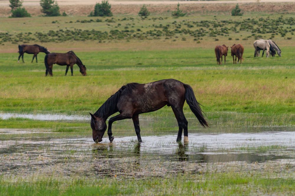 Photograph by Виктор Сёмушкин