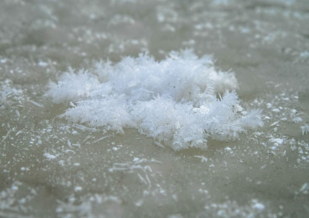 Photograph by Виктор Сёмушкин