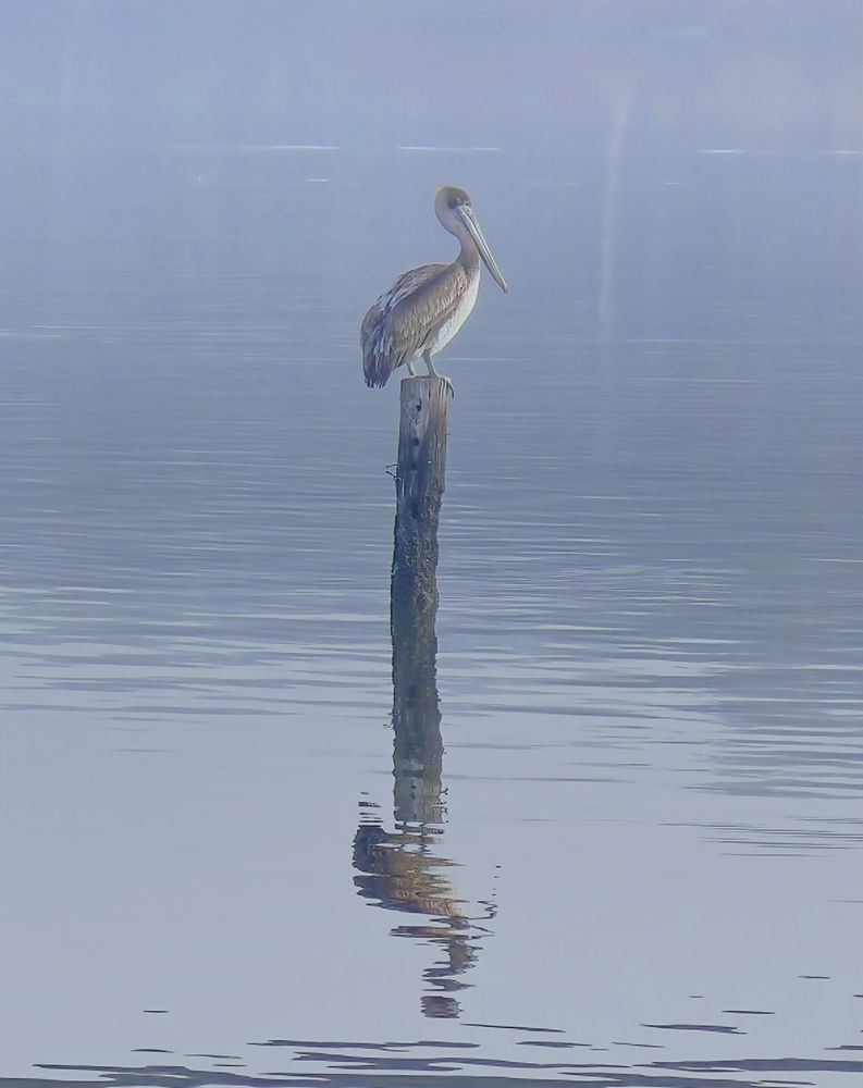 Фотография автора Jeff Cooley