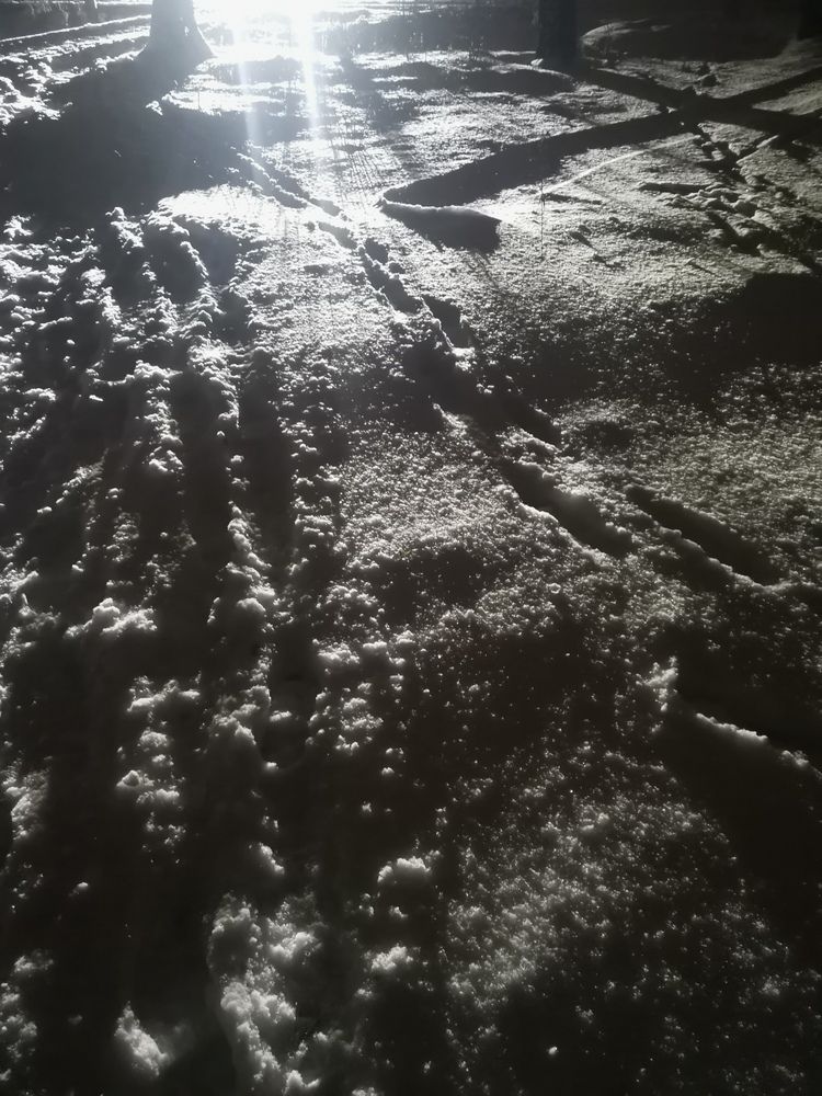 Photograph by Ксения Мироненко