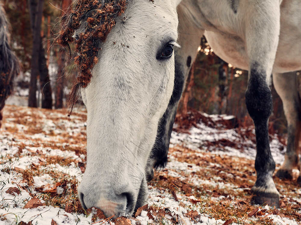Photograph by Сергей Сысалов