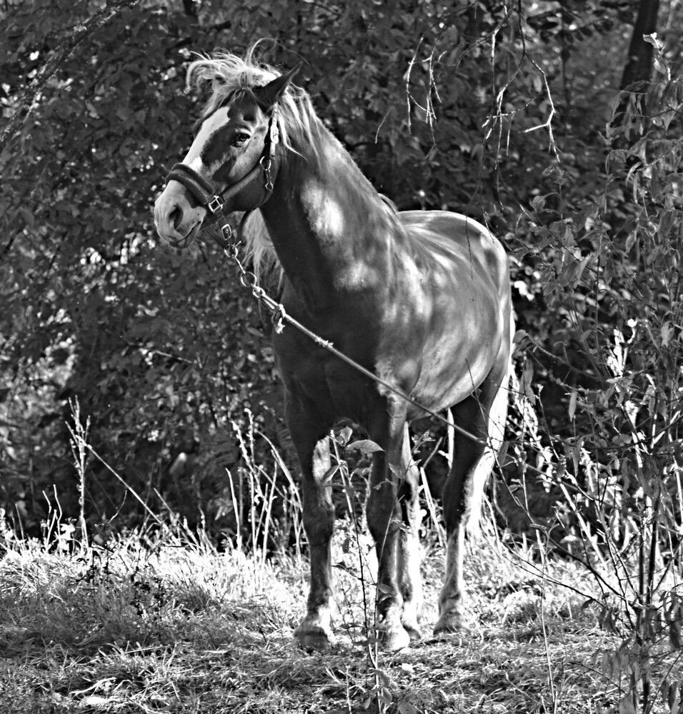 Photograph by Александр Прядко