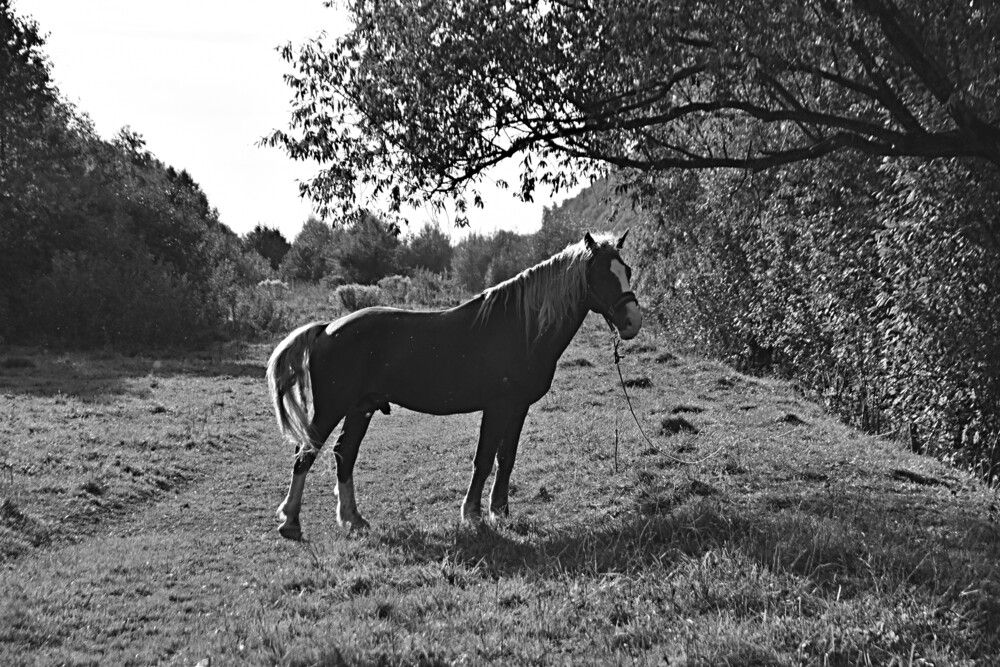 Photograph by Александр Прядко