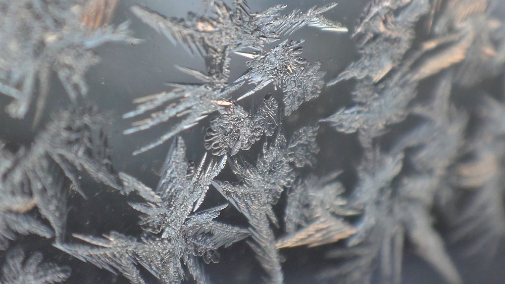 Photograph by Елена Силантьева