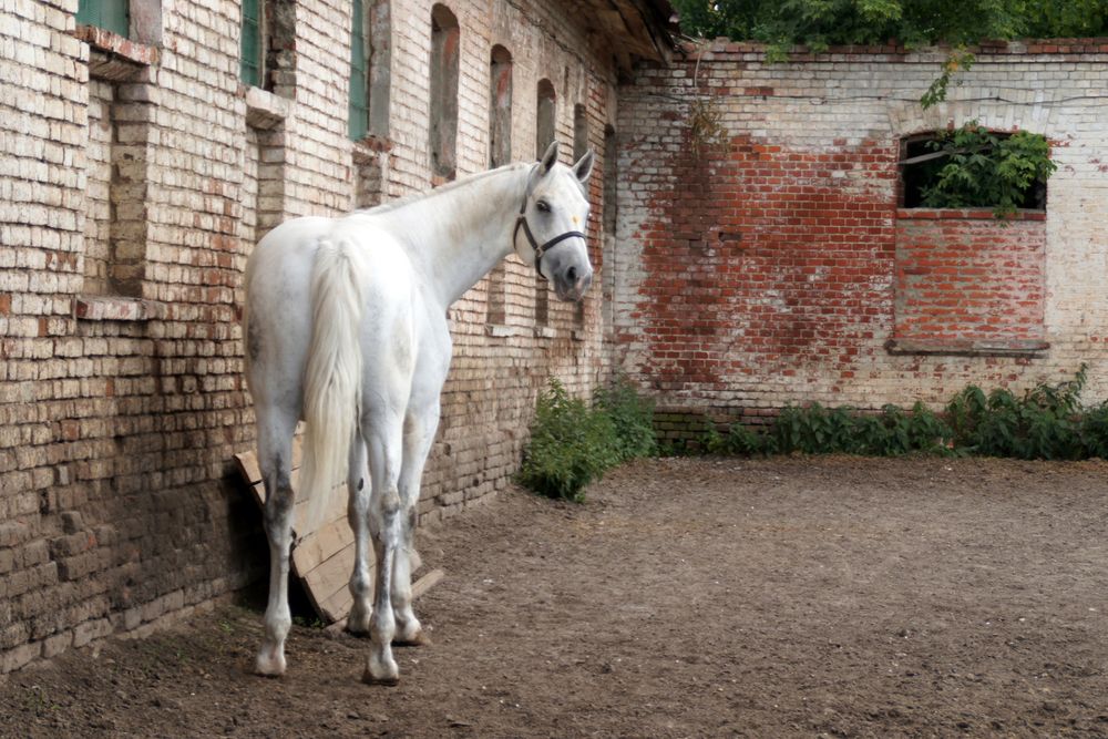 Photograph by Татьяна Иванникова