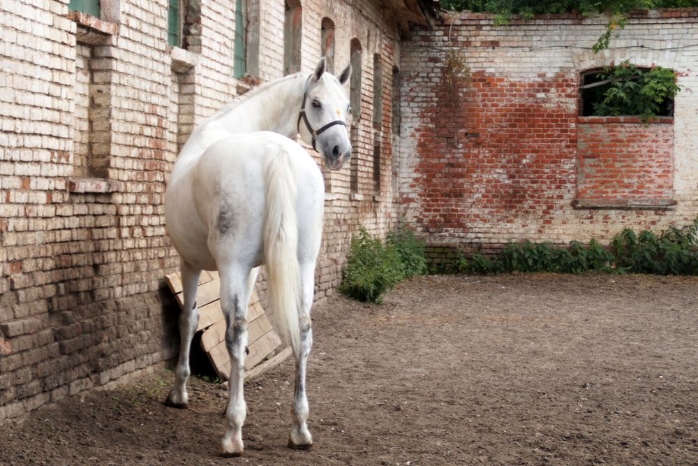 Photograph by Татьяна Иванникова