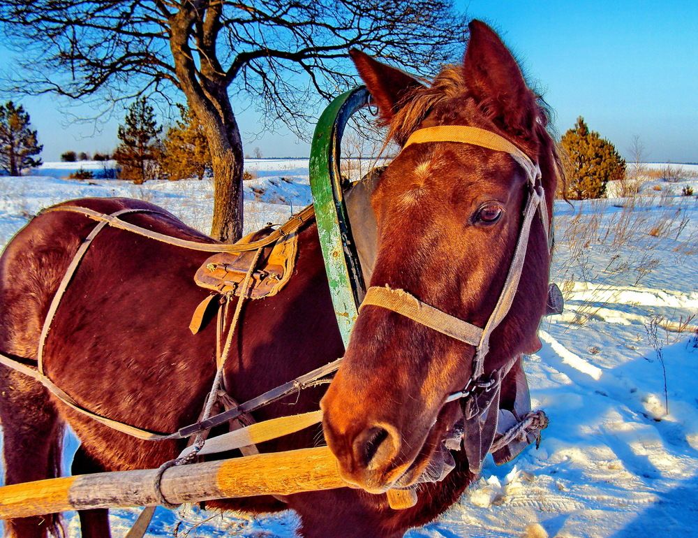 Photograph by Виталий Симоненков