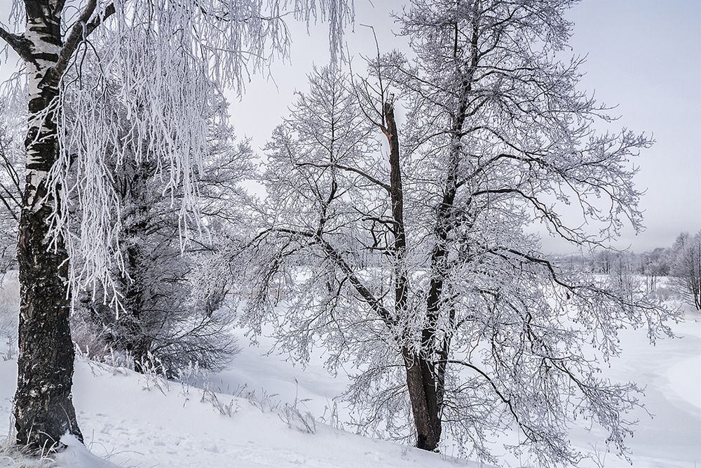 Photograph by Николай Кузьмин
