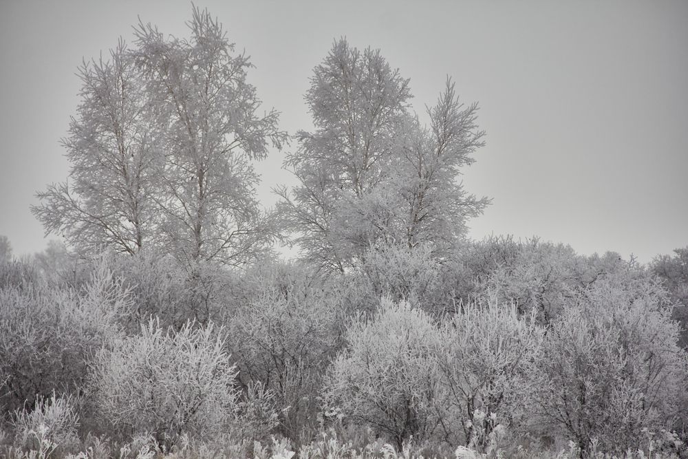 Фотография автора Наталия Мащенко