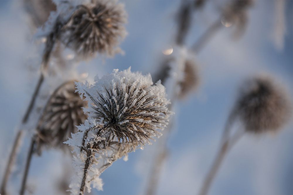 Photograph by Николай Кузьмин