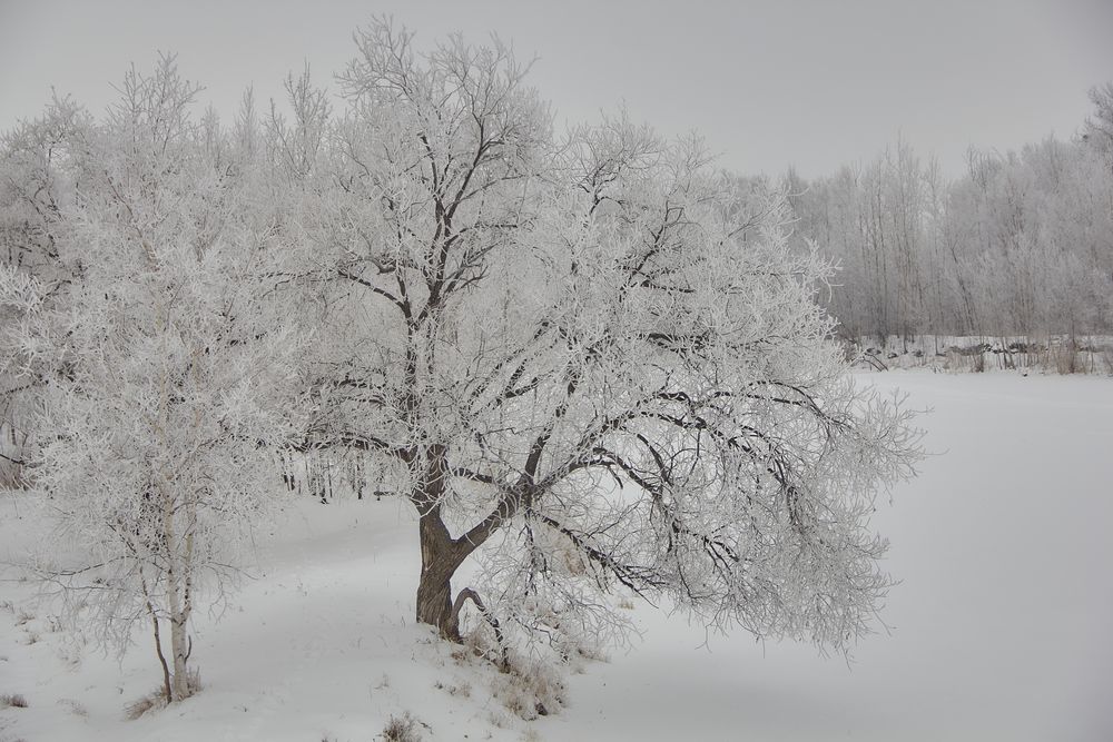 Фотография автора Наталия Мащенко