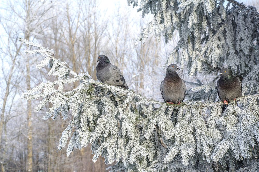 Photograph by Рюмина Ляля