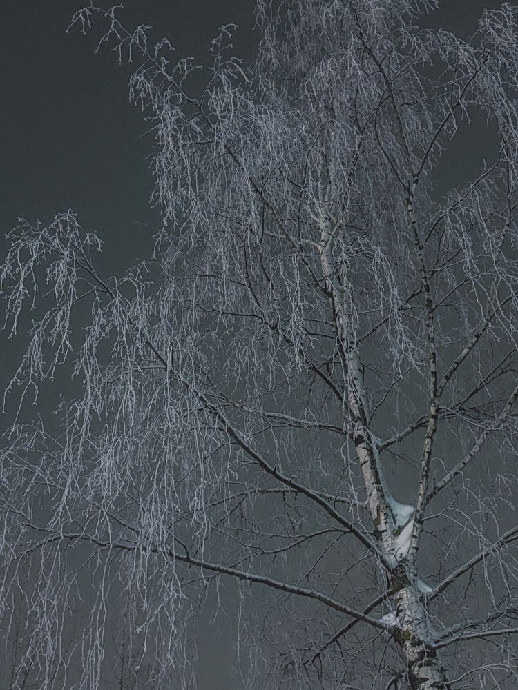 Photograph by Марина Харитонова