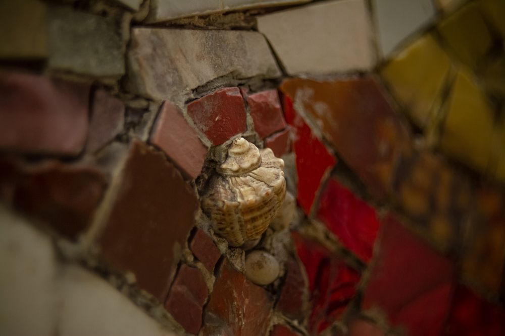 Photograph by Максим Жухлистов