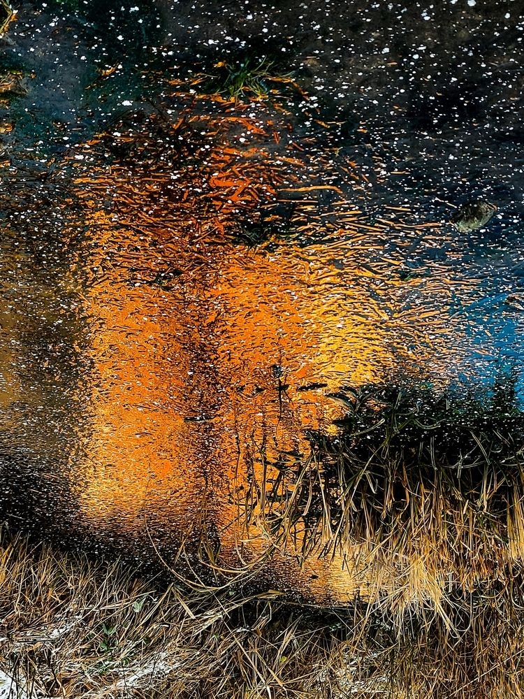 Photograph by Татьяна Пантеева