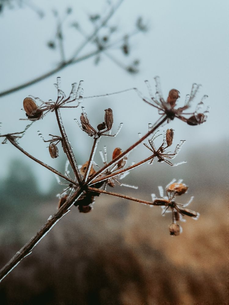 Photograph by Татьяна Пантеева