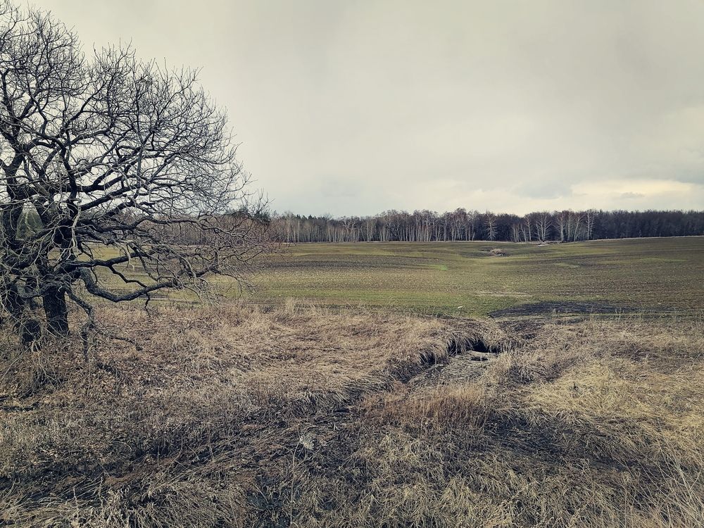 Photograph by Алексей Титков