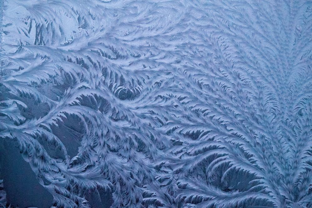 Photograph by Ксения Дудкина