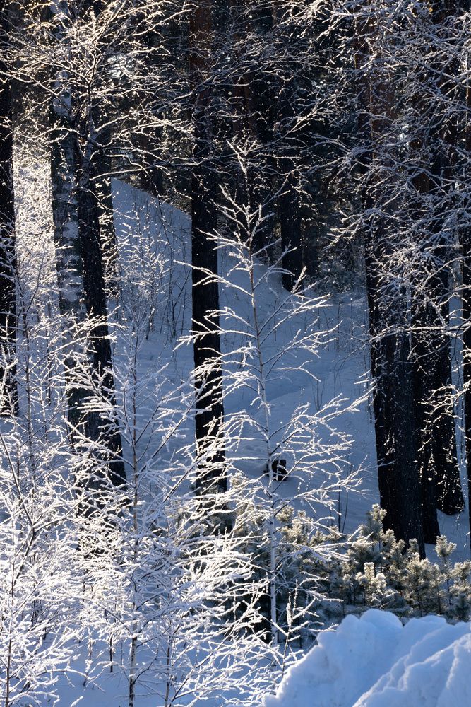 Photograph by Ксения Дудкина