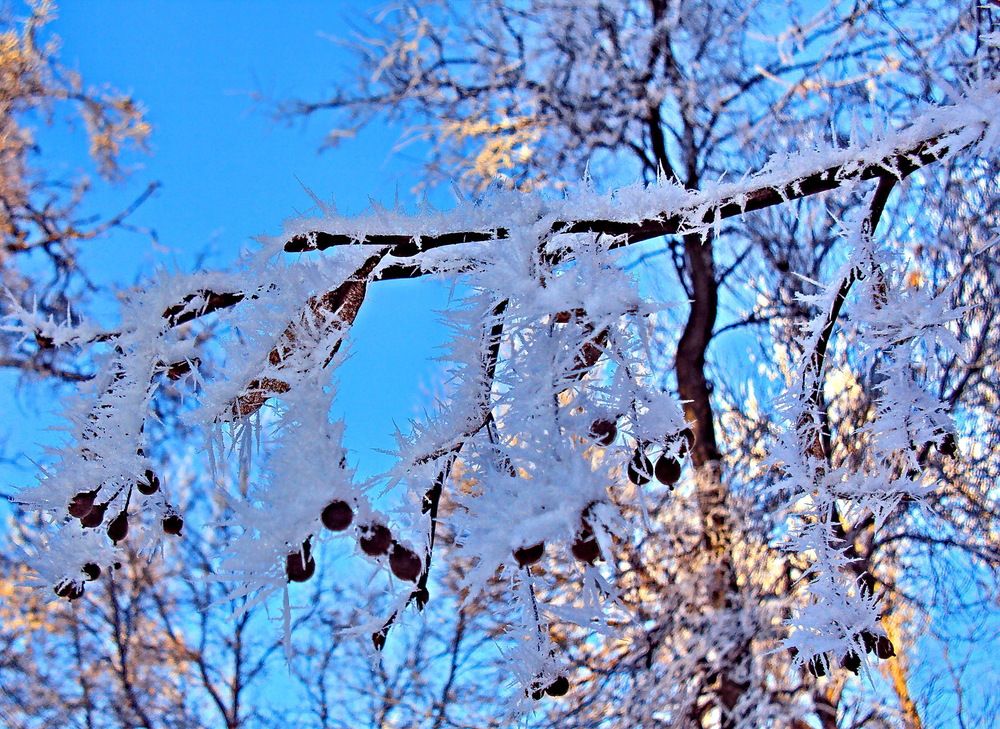 Photograph by Виталий Симоненков