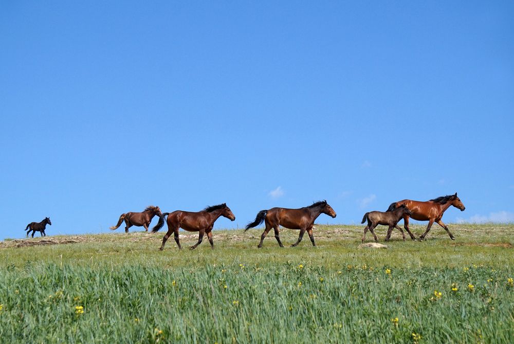 Photograph by Ксения Дудкина