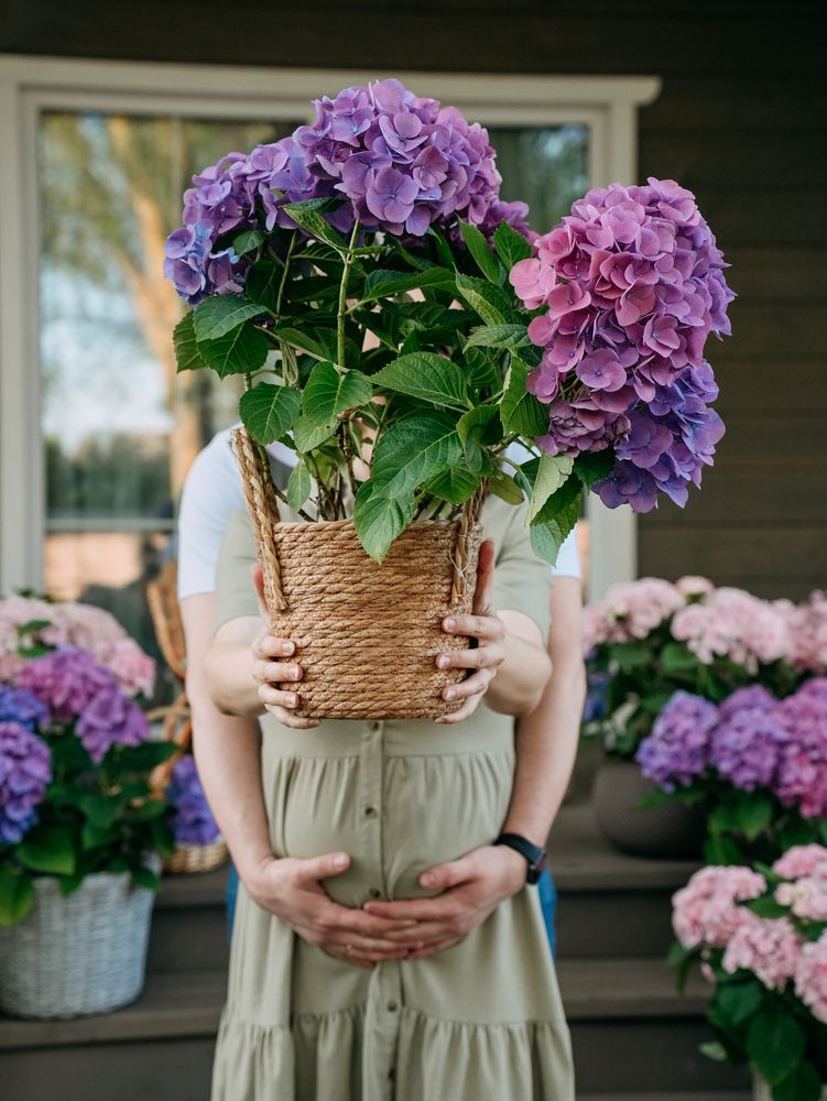 Photograph by Надежда Сивагина