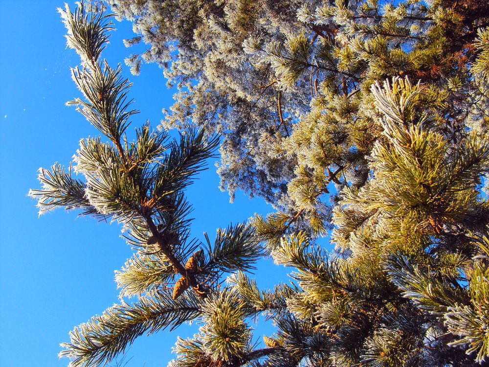 Photograph by Виталий Симоненков