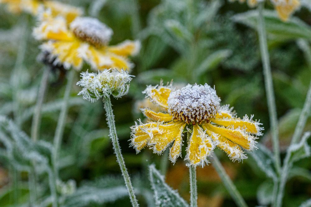 Photograph by Рюмина Ляля