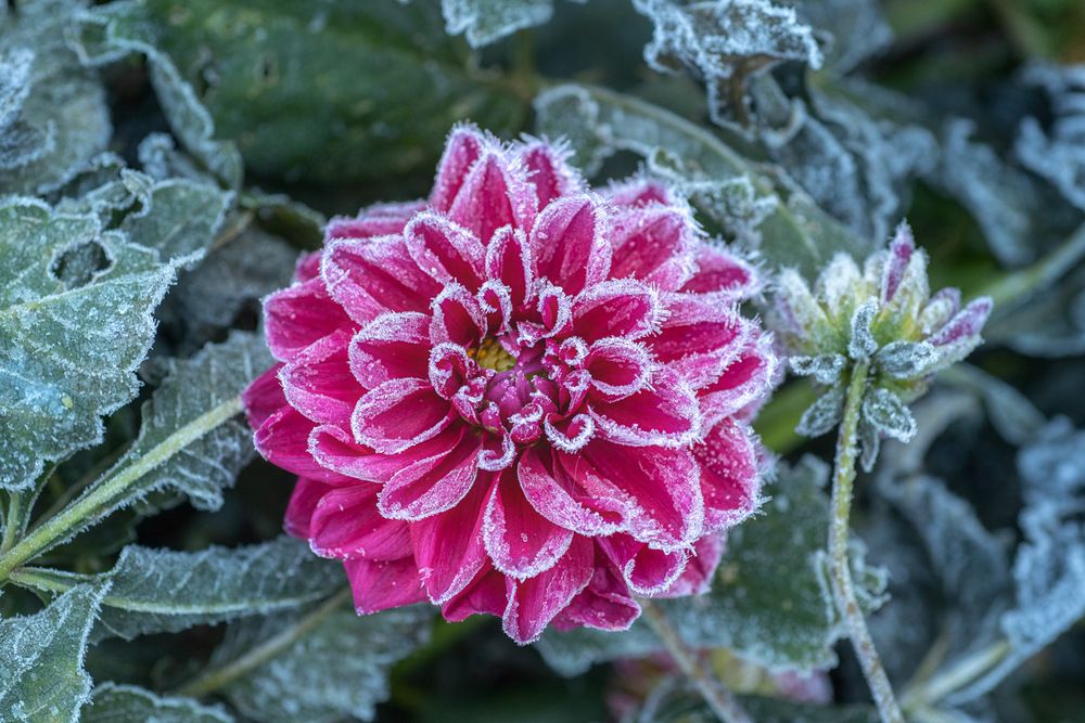 Photograph by Рюмина Ляля