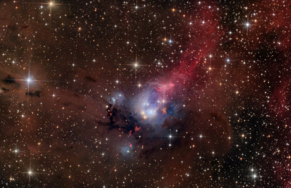 NGC 7129 | The Rose Bud