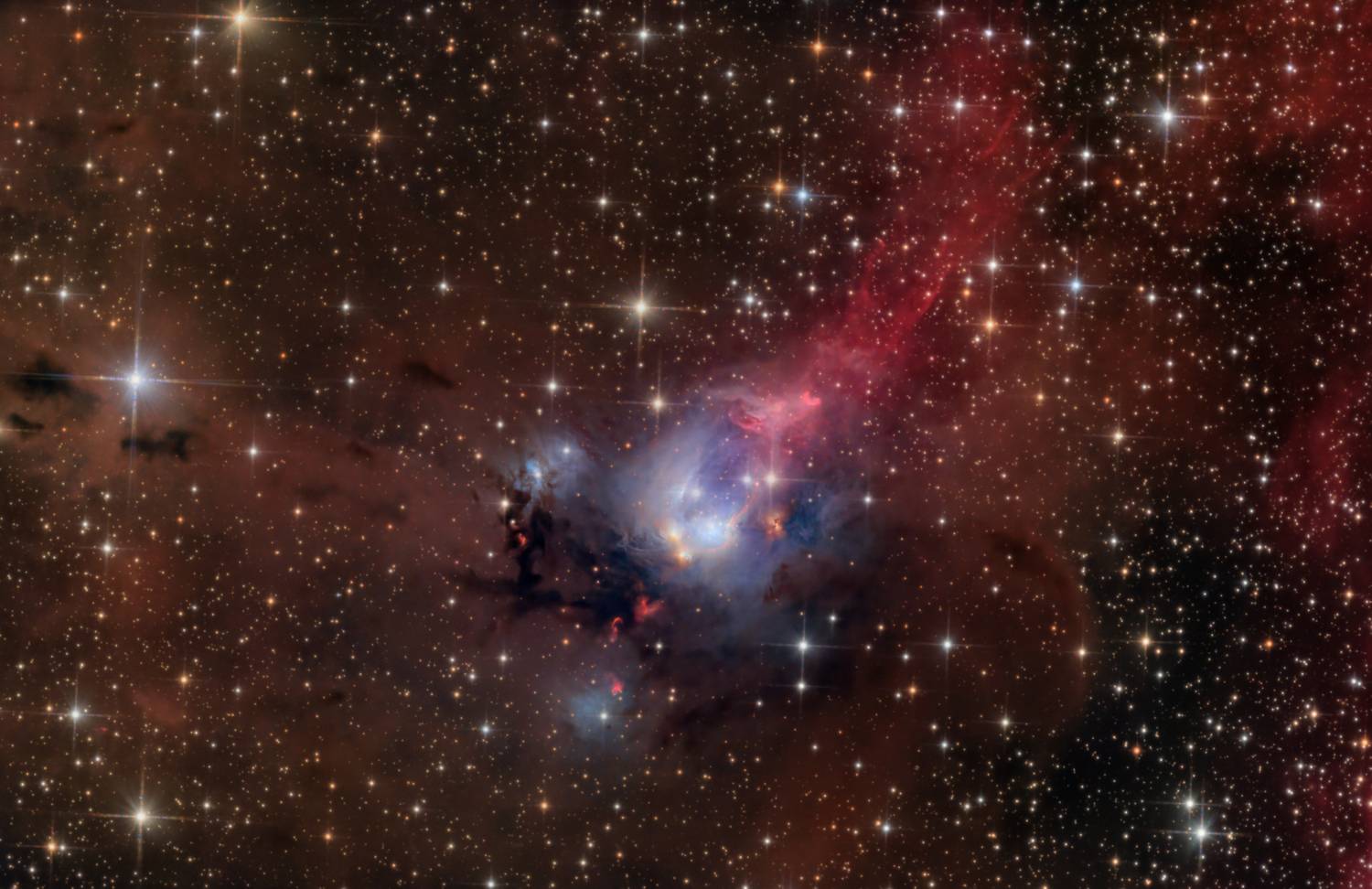 NGC 7129 | The Rose Bud NGC 7129 | The Rose Bud