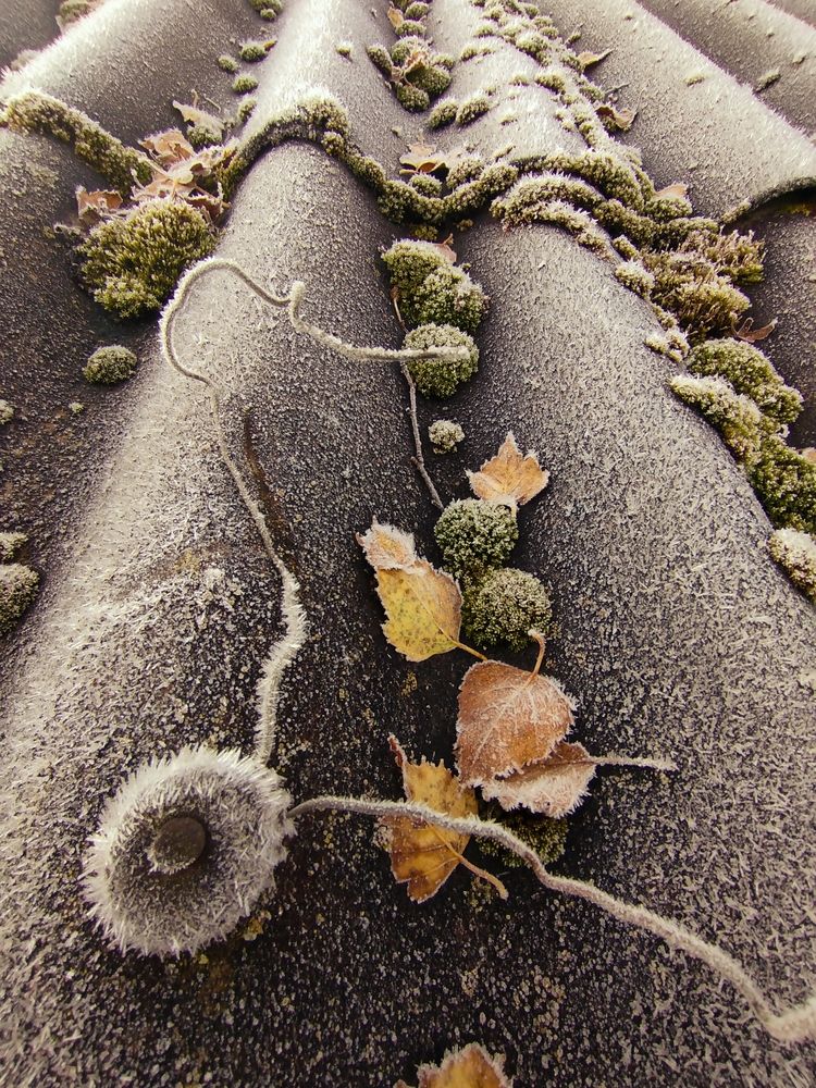 Photograph by Tatiana