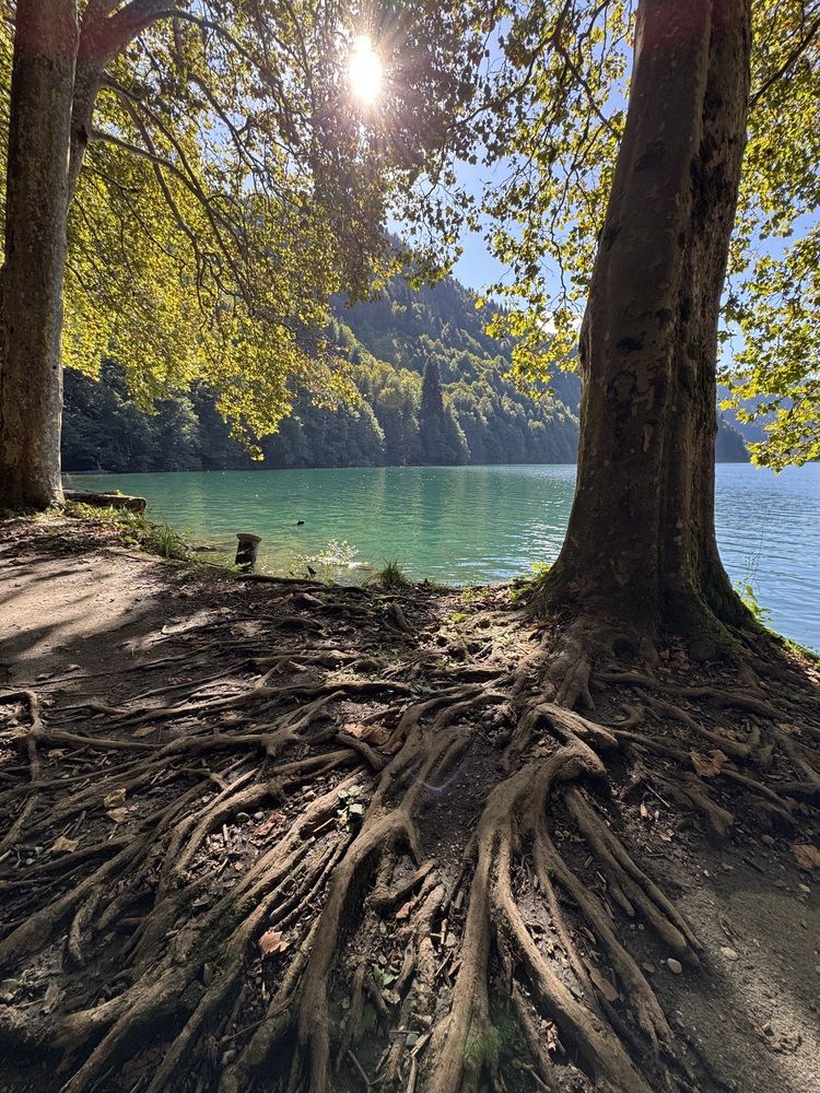 Photograph by Елена Смирнова