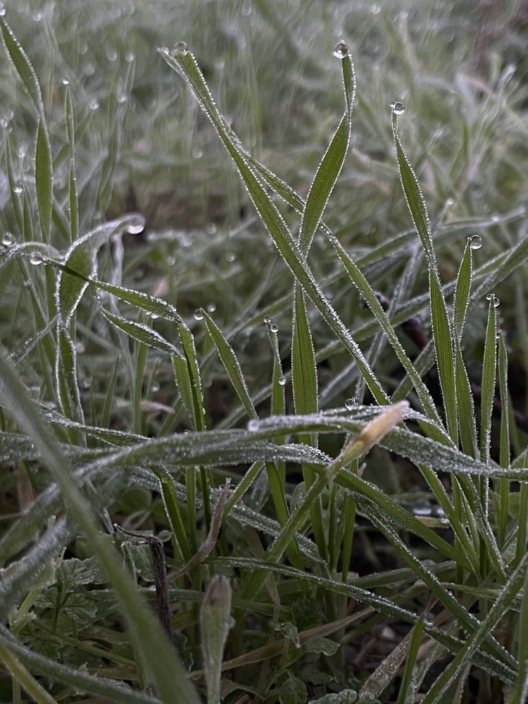Фотография автора Мария