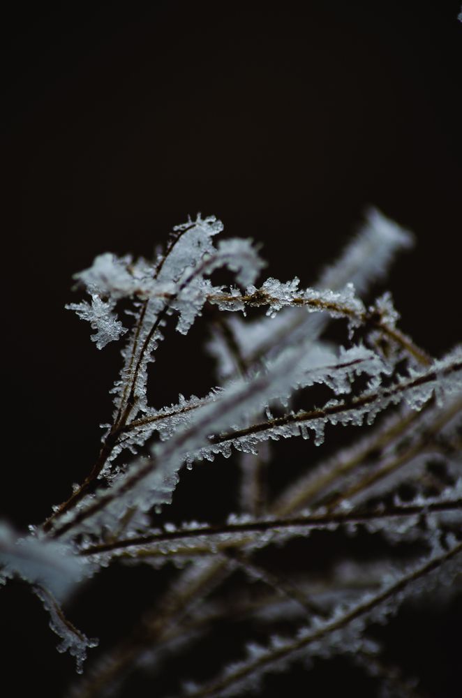 На окраине промышленного города