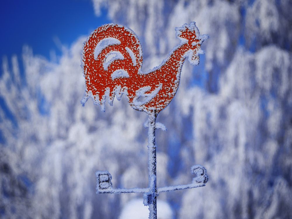 Photograph by Иван Труфанов