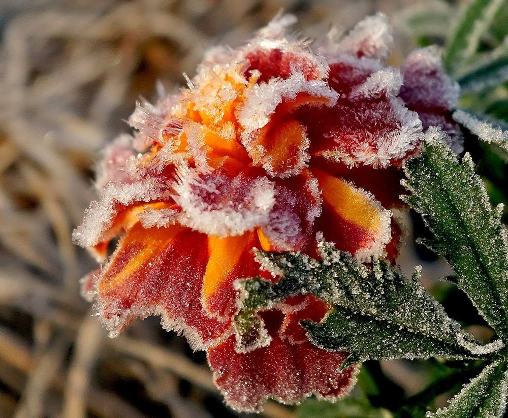 Photograph by Виктор Решетников