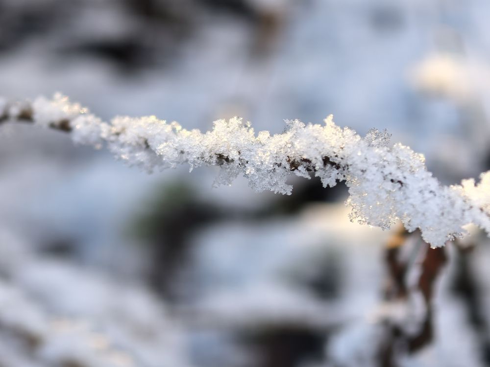 Photograph by Елена Охапкина